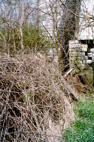 1857 Barn - Exterior