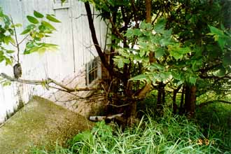 1857 Barn - Exterior