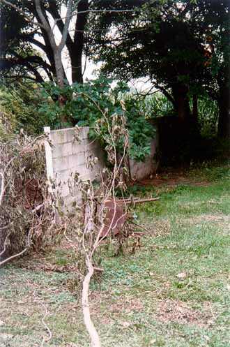 1956 Silo, nearby wall