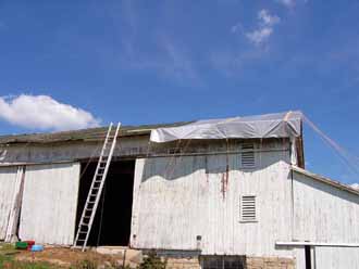 The Barn Log Photographs - August 6, 2004