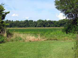 The Barn Log Photographs - August 7, 2004