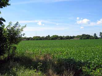 The Barn Log Photographs - August 7, 2004