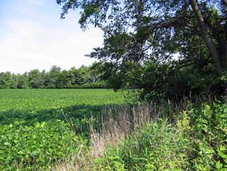 The Barn Log Photographs - August 7, 2004