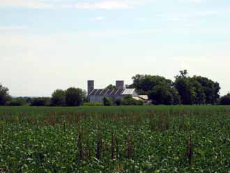 The Barn Log Photographs - August 7, 2004