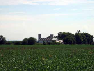 The Barn Log Photographs - August 7, 2004