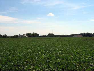 The Barn Log Photographs - August 7, 2004