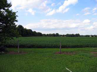 The Barn Log Photographs - August 9, 2004