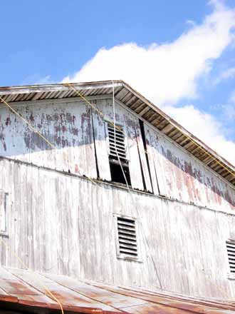 The Barn Log Photographs - August 20, 2004