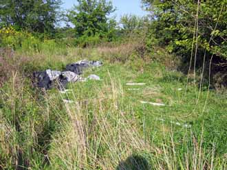 The Barn Log Photographs - August 22, 2004