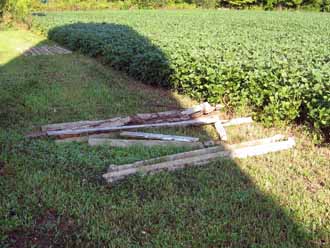 The Barn Log Photographs - August 22, 2004