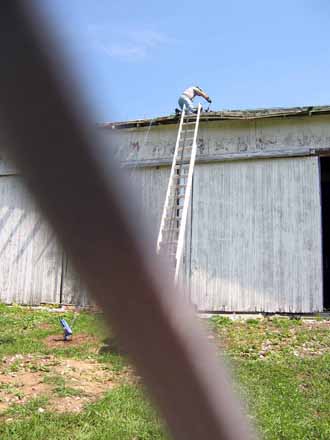 The Barn Log Photographs - September 2, 2004