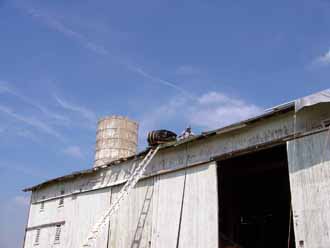 The Barn Log Photographs - September 2, 2004