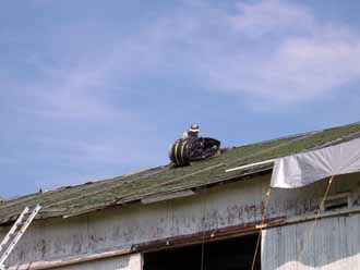 The Barn Log Photographs - September 2, 2004