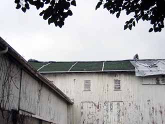 The Barn Log Photographs - September 3, 2004