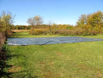 The Barn Log Photographs - October 17, 2004