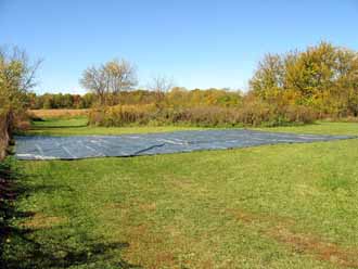 The Barn Log Photographs - October 17, 2004