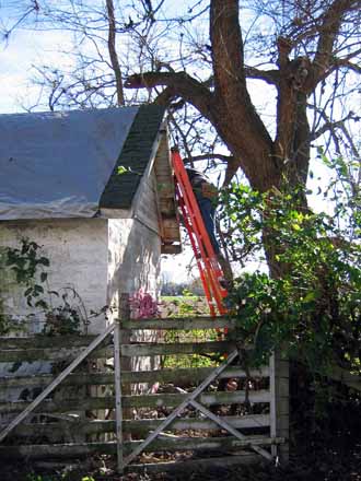 The Barn Log Photographs - November 6, 2004