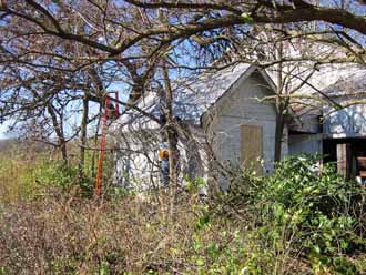 The Barn Log Photographs - November 6, 2004