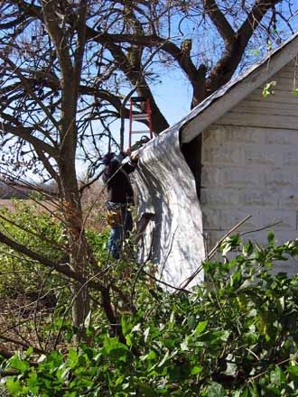 The Barn Log Photographs - November 6, 2004