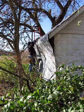 The Barn Log Photographs - November 6, 2004