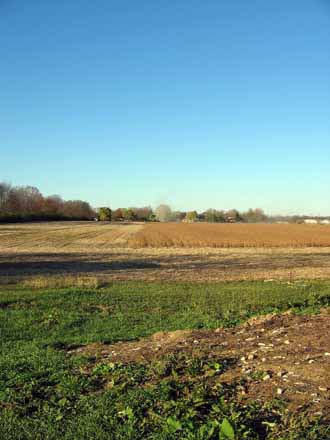 The Barn Log Photographs - November 8, 2004