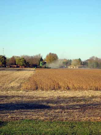 The Barn Log Photographs - November 8, 2004