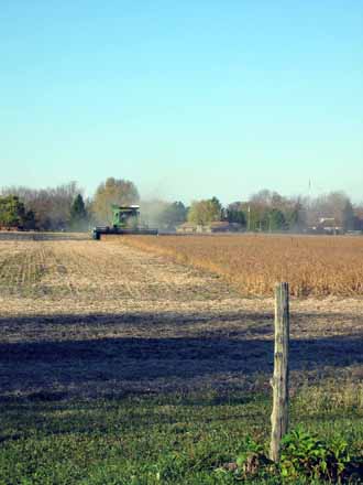 The Barn Log Photographs - November 8, 2004