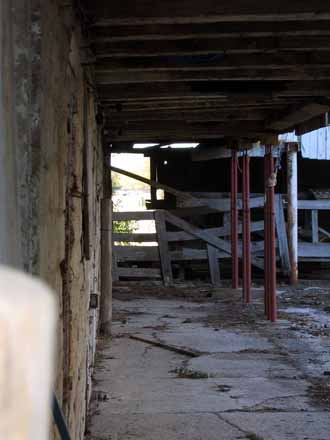 The Barn Log Photographs - November 8, 2004