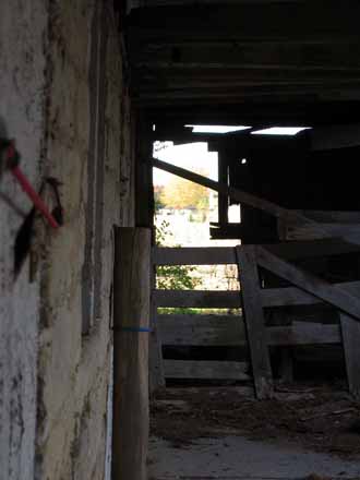 The Barn Log Photographs - November 8, 2004