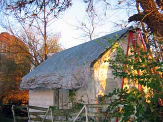 The Barn Log Photographs - November 8, 2004