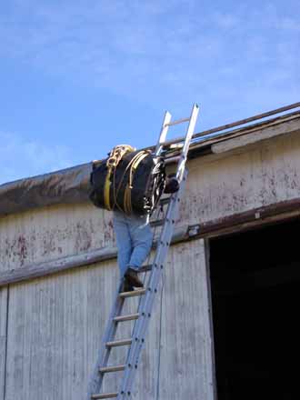 The Barn Log Photographs - November 14, 2004