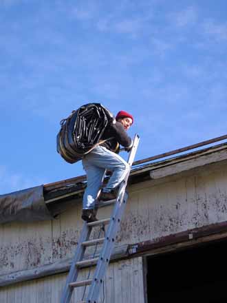 The Barn Log Photographs - November 14, 2004