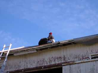 The Barn Log Photographs - November 14, 2004