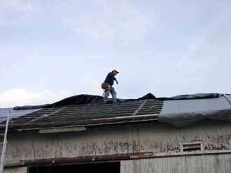 The Barn Log Photographs - November 15, 2004