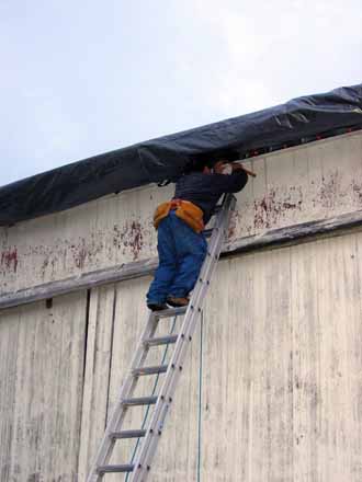 The Barn Log Photographs - November 18, 2004