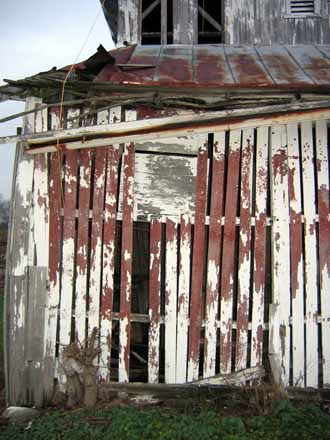 The Barn Log Photographs - November 22, 2004