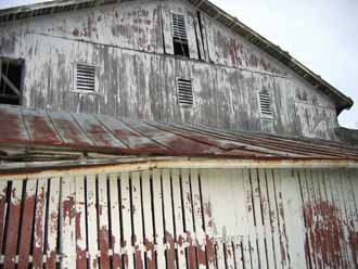 The Barn Log Photographs - November 22, 2004