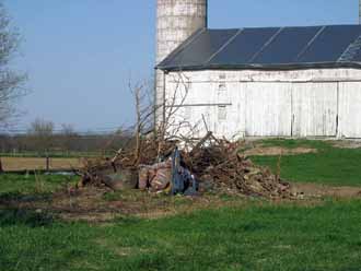 The Barn Log Photographs - April 15, 2005