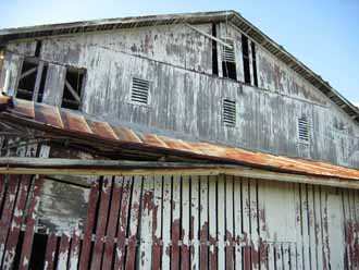 The Barn Log Photographs - June 21, 2005