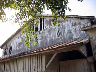 The Barn Log Photographs - June 21, 2005