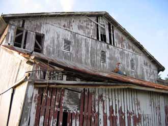 The Barn Log Photographs - June 21, 2005