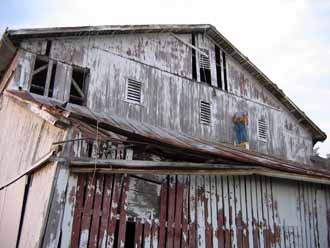 The Barn Log Photographs - June 21, 2005