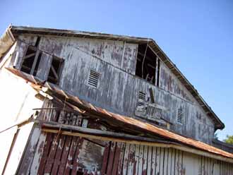 The Barn Log Photographs - June 23, 2005