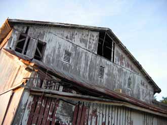 The Barn Log Photographs - June 23, 2005