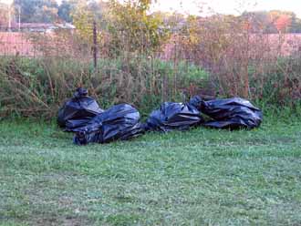 The Barn Log Photographs - October 27, 2005