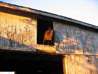 The Barn Log Photographs - October 27, 2005