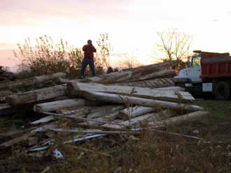 The Barn Log Photographs - November 9, 2005