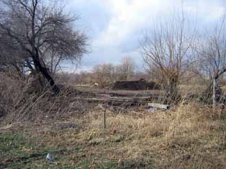 The Barn Log Photographs - February 3, 2006